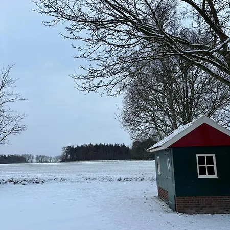 Schanszicht *