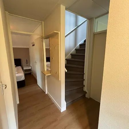 Schanszicht *